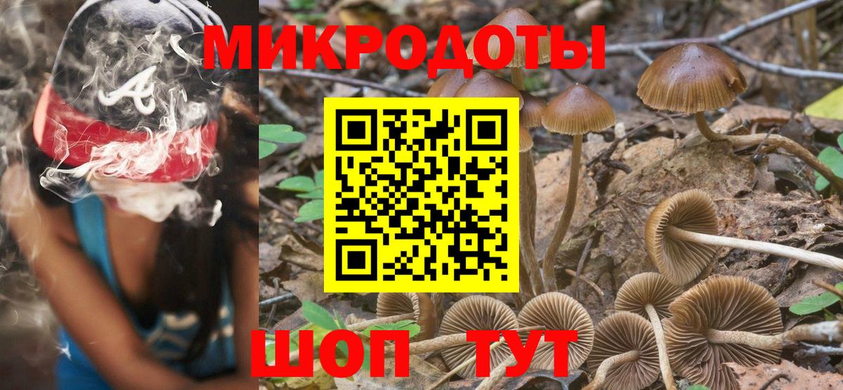 Псилоцибиновые грибы Psilocybine cubensis Лабинск